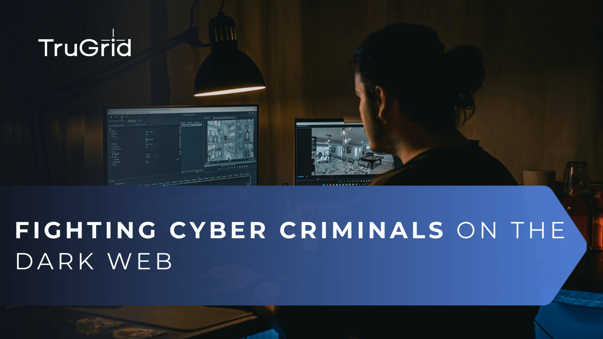 Read Fighting Back against Cyber Criminals on the Dark Web